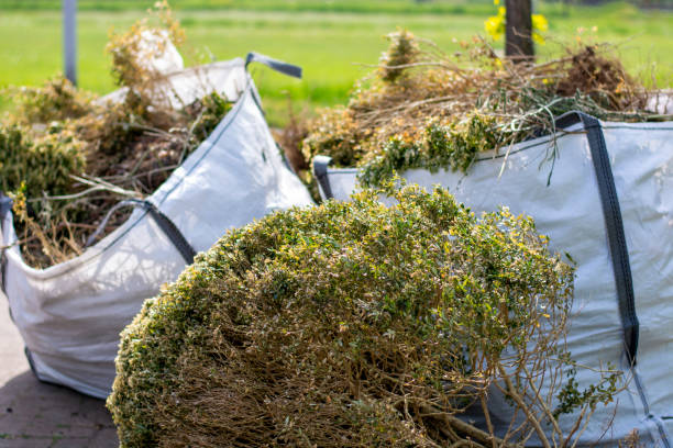 Best Same-Day Junk Removal  in Brainerd, MN