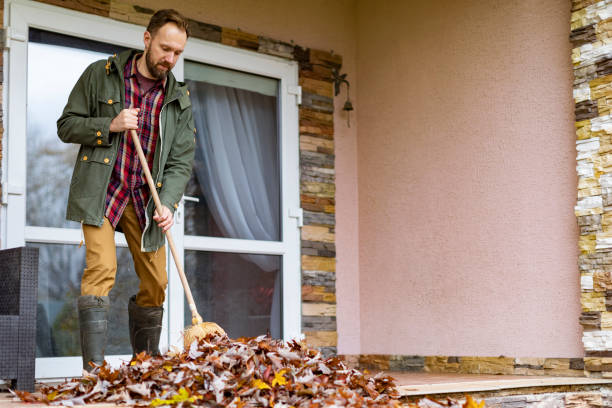 Best Basement Cleanout Services  in Brainerd, MN