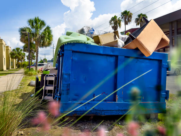 Yard Cleanup Services in Brainerd, MN
