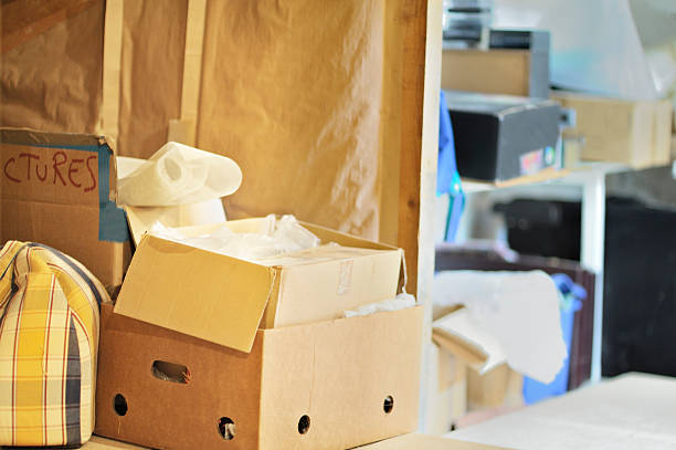 Best Office Junk Removal  in Brainerd, MN